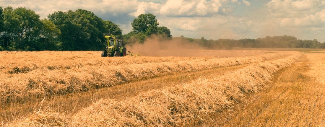 Agri-Business
